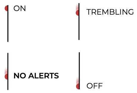 On, trembling, no alerts and off. The features of the DS01 project